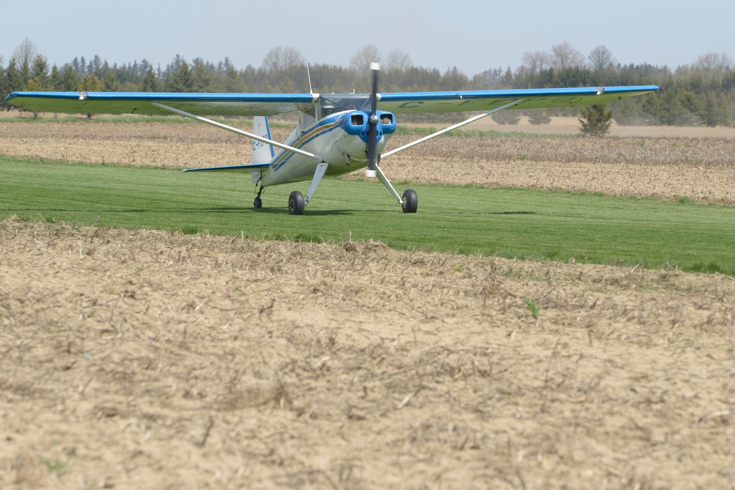 Luscombe 8F C-FEPO (formerly N1838B) Purple Hill, Ontario, 2013. This was previous owner Richard Marcus’ very last flight with the aircraft. 