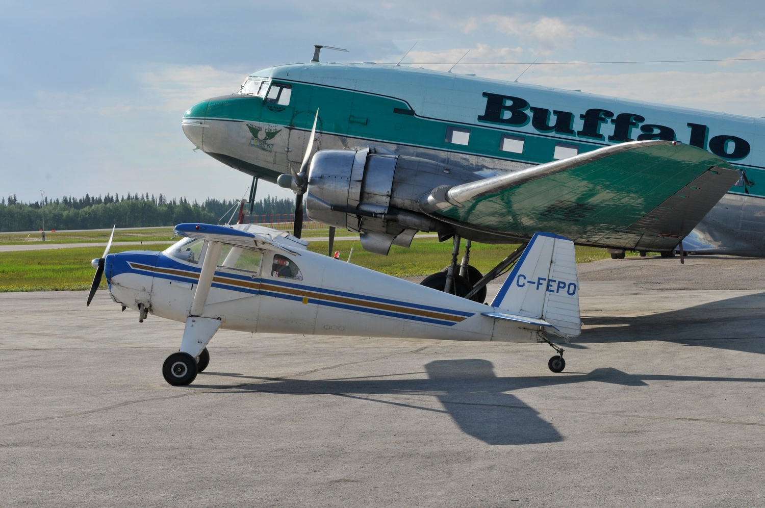 Luscombe 8F C-FEPO (formerly N1838B) Hay River. NWT, 2013. Buffalo Airways DC-3 in background. 