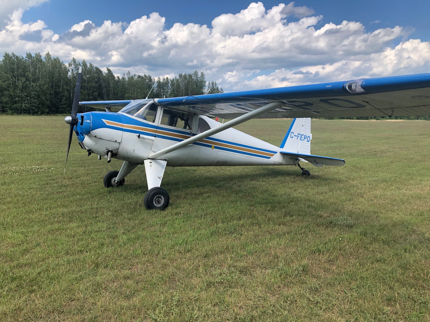 Luscombe 8F C-FEPO (formerly N1838B) Hawkesbury East, Ontario 2022 