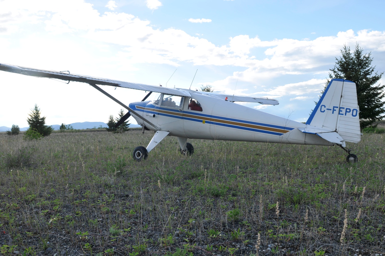 Luscombe 8F C-FEPO (formerly N1838B) Dog Creek, BC 2013. This was formerly an RCAF training base and was closed in the 1950s. The runways are still useable. 