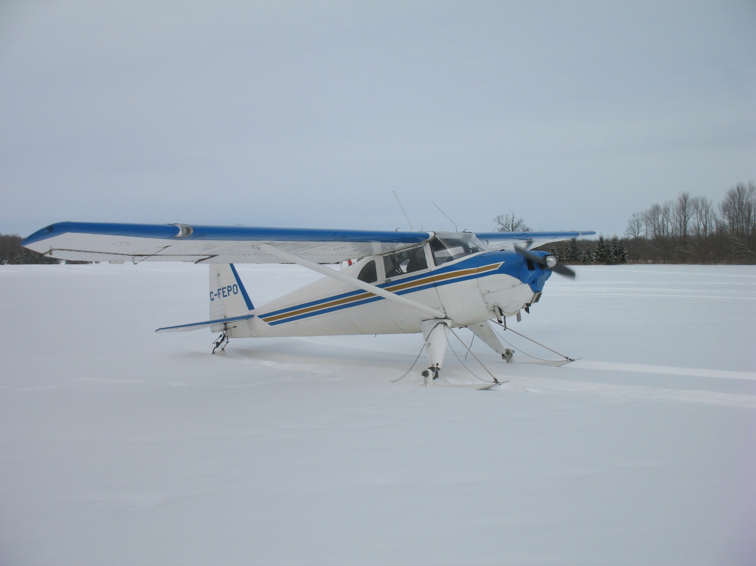 Luscombe 8F C-FEPO (formerly N1838B) on skis. Southern Ontario. Date unknown. 
