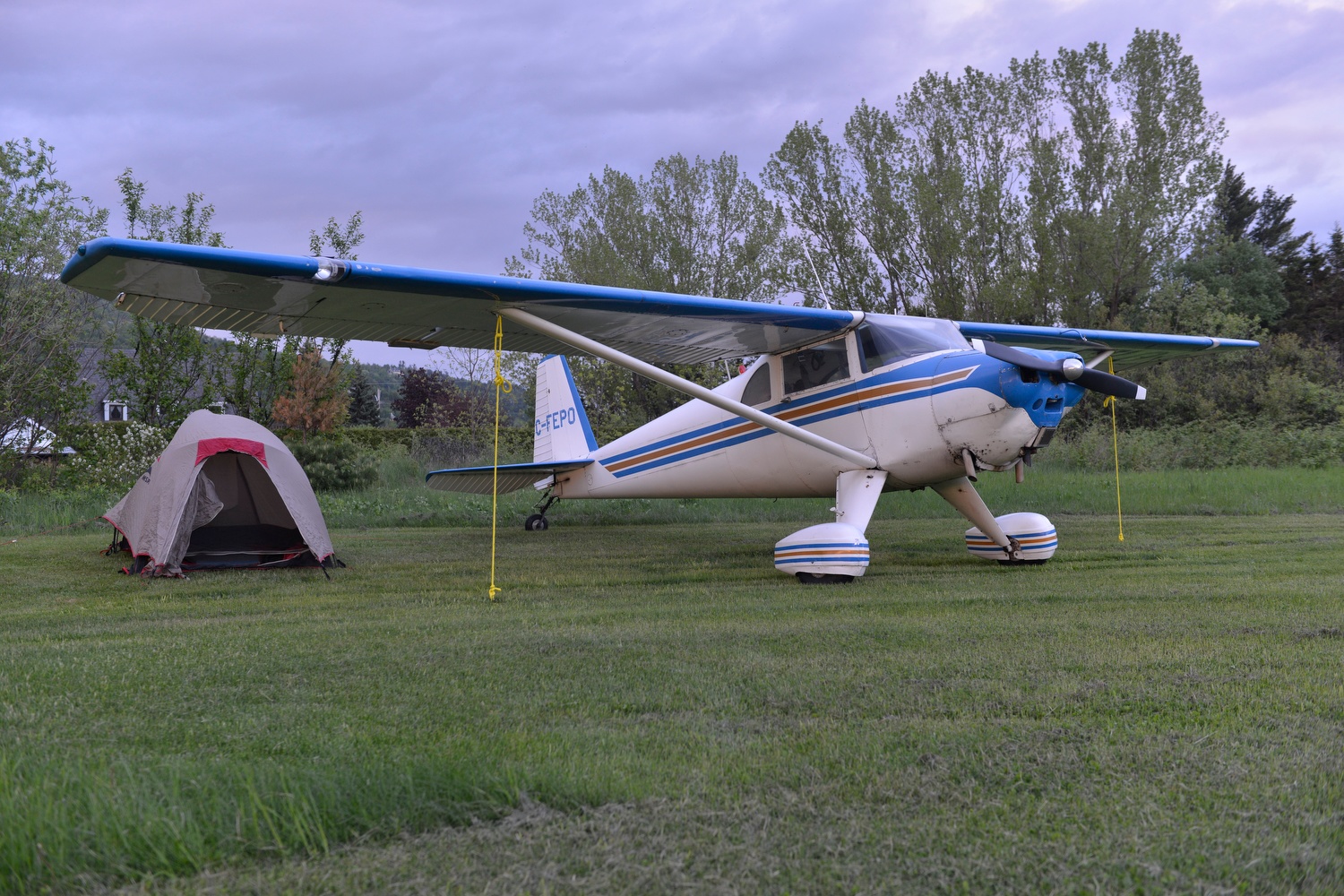 Luscombe 8F C-FEPO (formerly N1838B) Baie St Paul, Quebec. Camping under the wing. 2017 